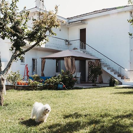 A Casa Da Estrela - Albergue De Peregrinos Fajozes Ngoại thất bức ảnh